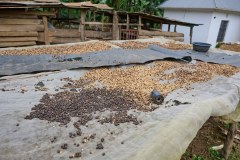 TanzanieUganda_0005_web