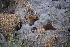 TanzanieUganda_0009_web