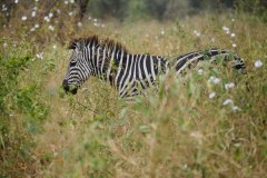 TanzanieUganda_0010_web