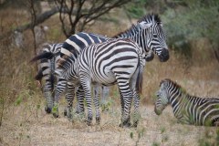 TanzanieUganda_0011_web