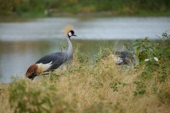 TanzanieUganda_0014_web