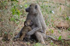 TanzanieUganda_0016_web
