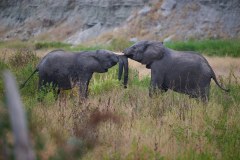 TanzanieUganda_0017_web