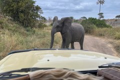 TanzanieUganda_0018_web