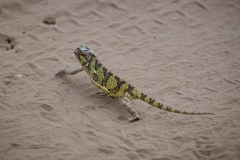 TanzanieUganda_0019_web