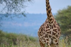 TanzanieUganda_0021_web