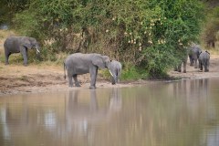 TanzanieUganda_0027_web