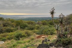 TanzanieUganda_0031_web