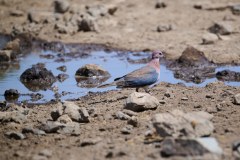 TanzanieUganda_0040_web