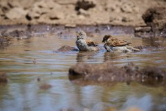 TanzanieUganda_0041_web