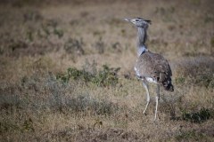 TanzanieUganda_0045_web