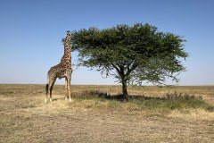TanzanieUganda_0046_web