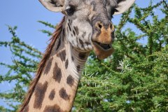 TanzanieUganda_0048_web