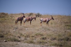 TanzanieUganda_0049_web