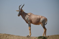 TanzanieUganda_0050_web