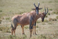 TanzanieUganda_0051_web
