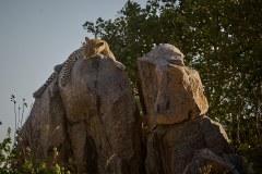TanzanieUganda_0055_web