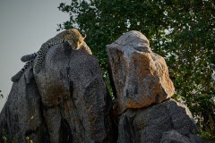 TanzanieUganda_0057_web