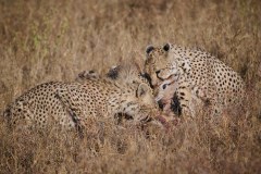 TanzanieUganda_0058_web
