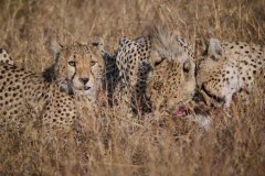 TanzanieUganda_0059_web