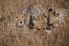 TanzanieUganda_0060_web