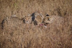 TanzanieUganda_0061_web