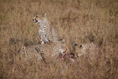 TanzanieUganda_0062_web