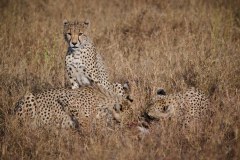 TanzanieUganda_0063_web