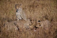 TanzanieUganda_0064_web