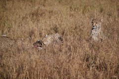 TanzanieUganda_0065_web