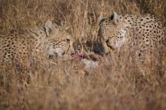TanzanieUganda_0066_web