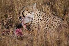 TanzanieUganda_0067_web