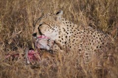 TanzanieUganda_0068_web