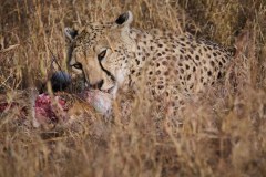 TanzanieUganda_0069_web