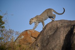 TanzanieUganda_0070_web