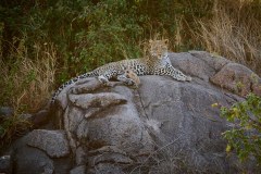 TanzanieUganda_0071_web