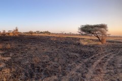 TanzanieUganda_0072_web