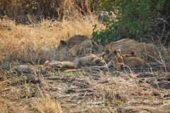 TanzanieUganda_0075_web