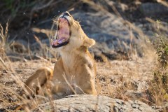 TanzanieUganda_0076_web