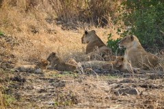 TanzanieUganda_0077_web