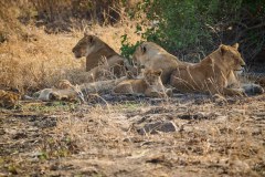 TanzanieUganda_0078_web