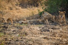 TanzanieUganda_0079_web