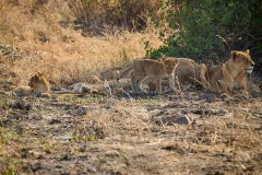 TanzanieUganda_0080_web