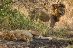 TanzanieUganda_0081_web