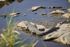 TanzanieUganda_0082_web