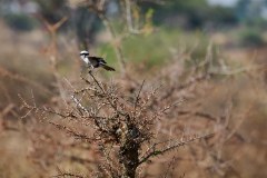 TanzanieUganda_0083_web