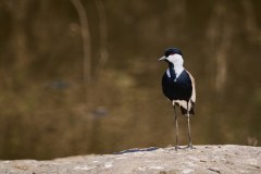 TanzanieUganda_0085_web