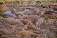 TanzanieUganda_0086_web
