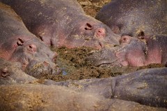 TanzanieUganda_0087_web