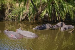 TanzanieUganda_0088_web